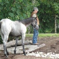 Lance & Sunshine Froelich Quarter Horses